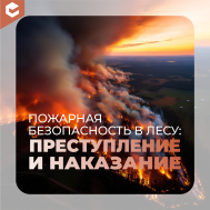 Пожары карточки 7.05 (+превентивка) (КЦ май).
