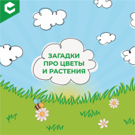 Загадки на логику, внимание и образное мышление.